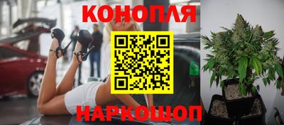 ГАЛЛЮЦИНОГЕННЫЕ ГРИБЫ Коммунар