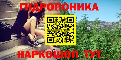 индика Конаково