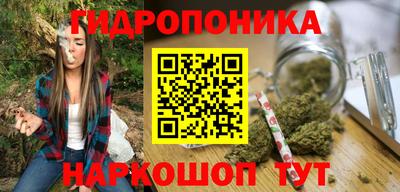 ГАЛЛЮЦИНОГЕННЫЕ ГРИБЫ Коммунар