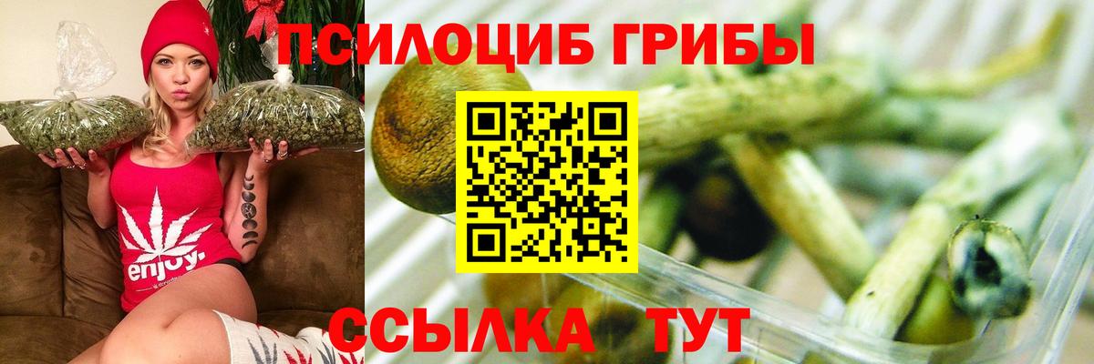Псилоцибиновые грибы мухоморы Котовск